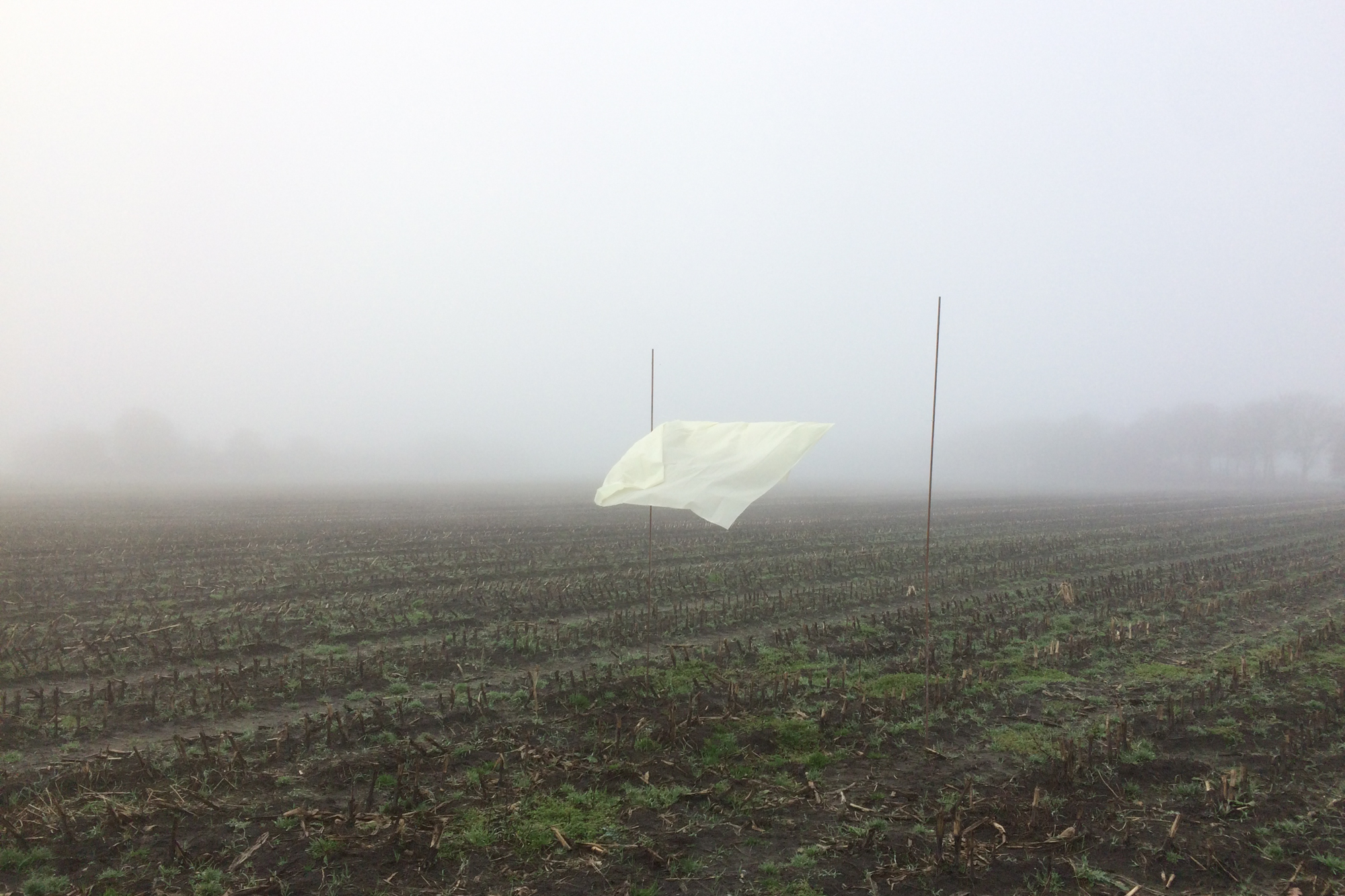 MIST I