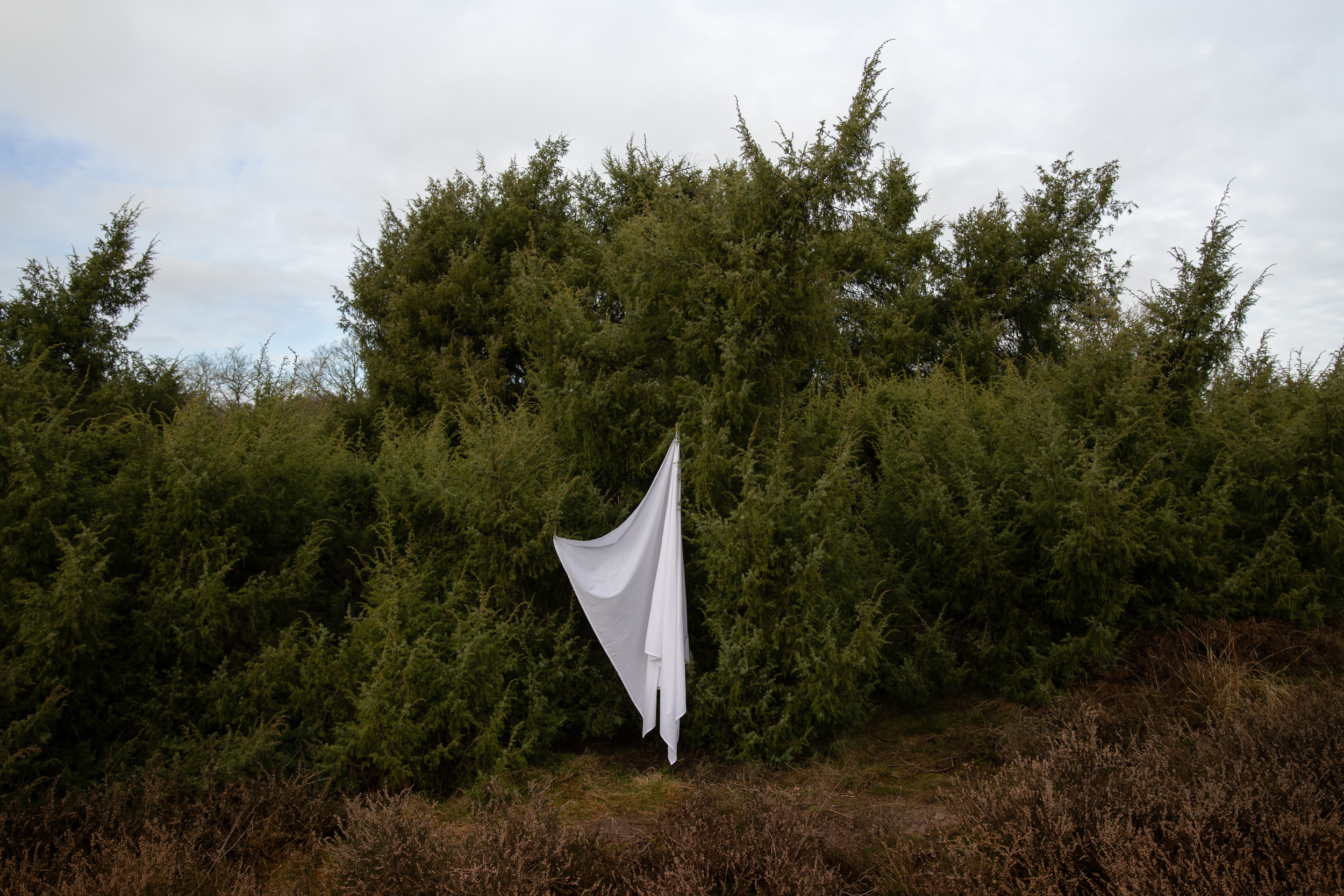 WINDSTIL heleen haijtema